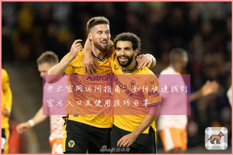 开云官网访问指南：如何快速找到官方入口及使用技巧分享